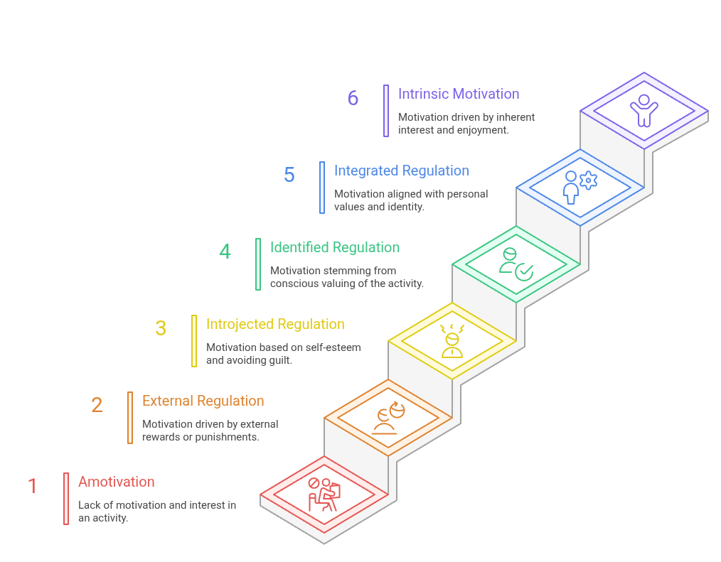 Self Determination Theory A Diagram of Motivational Shift visual selection