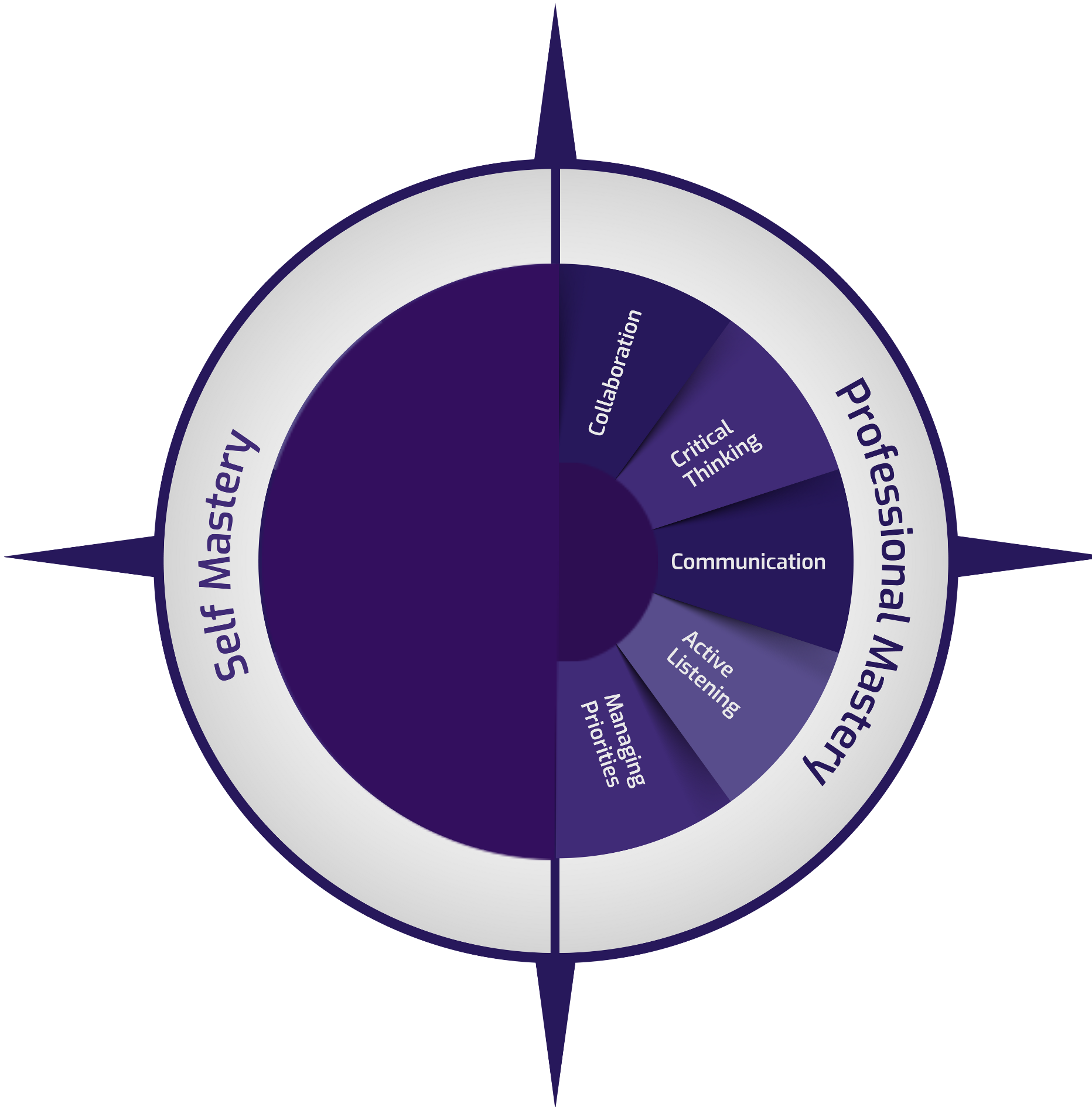 The Mastery Model - Professional MAstery